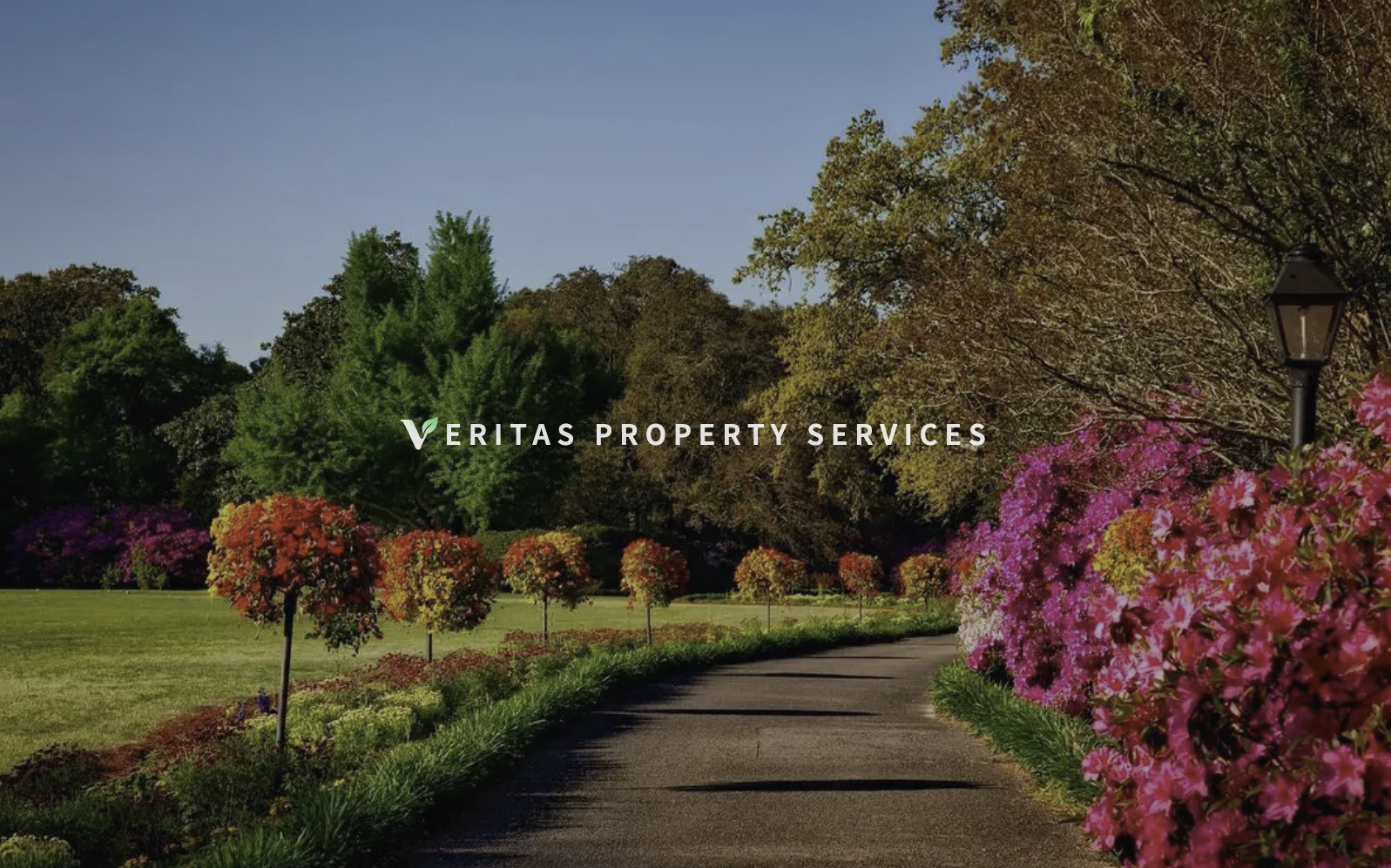 Veritas Property Services