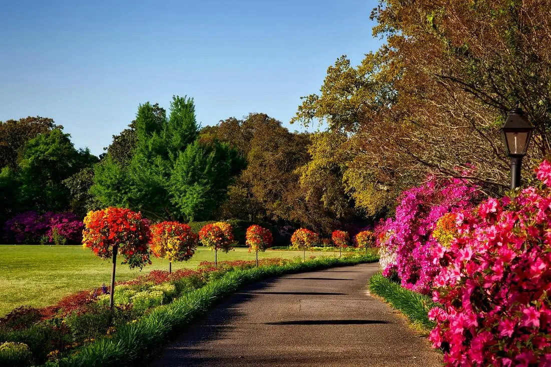 Header 1